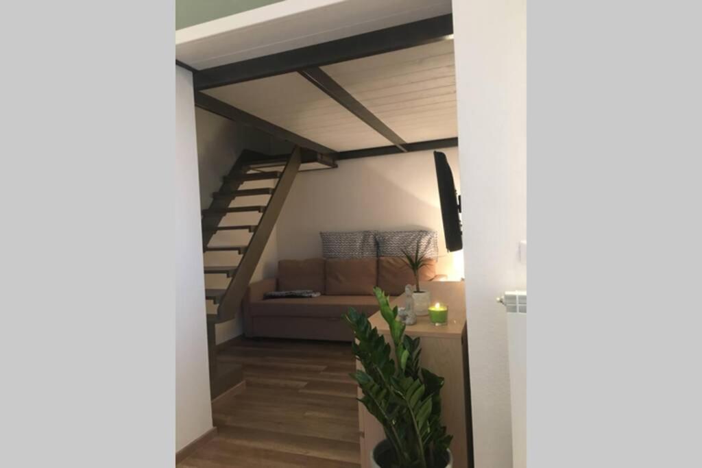 Bilocale Sul Mare Apartamento Marina Di Pisa Exterior foto